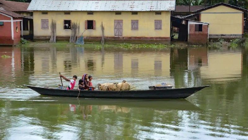 Villagers along with their livestock move across a flood affected area on a boat, in Morigaon district. (PTI)